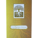 Cordyceps Sinesis Hair Essence (冬虫夏草精华) (50ml)